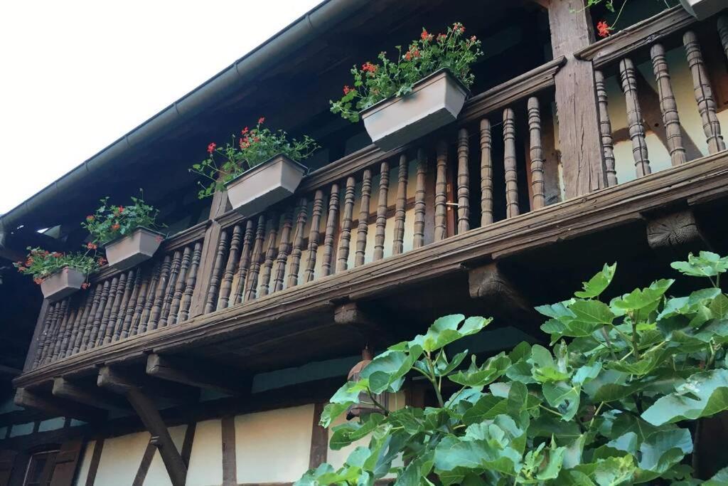 Gite Alsacien Eckwersheim Exterior photo